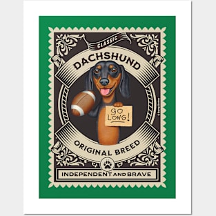 Fun Dachshund holding football and to go long Posters and Art